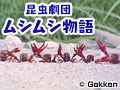  昆虫劇団ムシムシ物語でDMMアフィリエイトツール