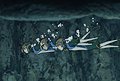 エレメントハンター Mission 19