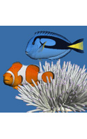 【クリックで詳細表示】珊瑚礁の魚 デスクトップ