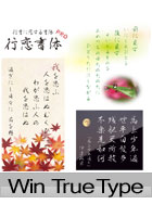 万葉シリーズPRO 行恋書体 Win TrueType