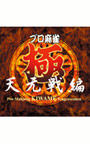 プロ麻雀 極 天元戦編
