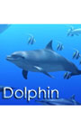 DigiFish Dolphin
