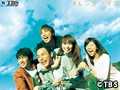  TBS連続ドラマ「オレンジデイズ」（妻夫木聡、柴咲コウ）でDMMアフィリエイトツール