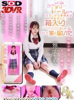 【VR】【8K】人間がドールに？！注文したら委員長は突如消えて、箱入りドールとして家に届いた 雅子りな