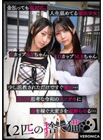 S.Y.＆M.S.