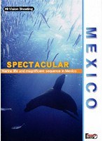 メキシコ SPECTACULAR
