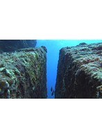 第3話 与那国海底遺跡 海からのメッセージ/Aqua Garden