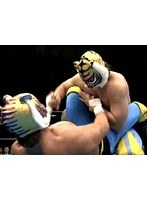 タイガーマスク列伝