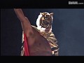 ���� ���������ޥ��� ����ץ���� No.1