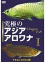 1 �ɥ饴��ե��å��� 1 ��ˤΥ������������