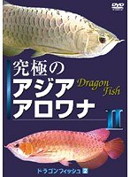 2 ドラゴンフィッシュ 2 究極のアジアアロワナ