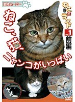 vol.1 ねこ(猫) ざ ランド ねこ、猫、にゃんこがいっぱい 前編