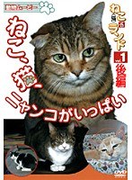 vol.1 ねこ(猫) ざ ランド ねこ、猫、にゃんこがいっぱい 後編