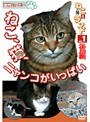 vol.1 �ͤ���ǭ�� �� ���� �ͤ���ǭ���ˤ�󤳤����äѤ� ����