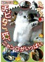 vol.3 �ͤ���ǭ�� �� ���� ���Ӥͤ���ǭ���˥�󥳤����äѤ�