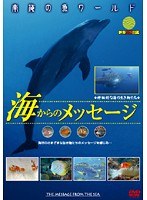 南海の魚ワールド 海からのメッセージ