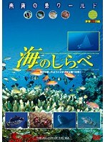 南海の魚ワールド 海のしらべ