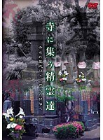 寺に集う精霊達 寺とお墓巡り・江戸から明治ヘ