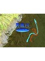  男鹿川（栃木）C＆RエリアFFポイントガイドでDMMアフィリエイトツール