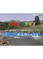 ����Ũ��FF�饤�ա�41��ܾ븩����ͺ��C��R���ꥢ���६����