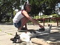 �ץ꤭�夦 Pretty��Cutey �ĳ��ߤ��� ����ץ���� No.3