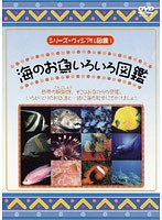 1 シリーズ・ヴィジアル図鑑 海のお魚いろいろ図鑑
