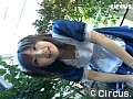 �֥��ꥮ��̼���쥯�����ࡼ�ӡ��׿��㵪�� �����ץ��� ����ץ���� No.2