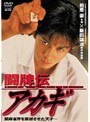  闘牌伝 アカギでDMMアフィリエイトツール