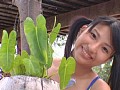 �ˡ��� ��̾���� No.11