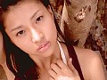 �ˡ��� ��̾���� No.33