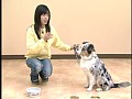 �����Υȥ졼�˥󥰶��������äƤ���Τ��Ĥ���