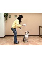 Lesson2 �����Υȥ졼�˥󥰶��� �����äƤ���Τ��Ĥ��� ������Ϳ����