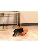 Lesson7 �����Υȥ졼�˥󥰶��� �����äƤ���Τ��Ĥ��� α���֥ȥ졼�˥�