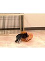 Lesson7 �����Υȥ졼�˥󥰶��� �����äƤ���Τ��Ĥ��� α���֥ȥ졼�˥�