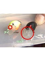 Lesson6 TROUT FISHING入門 クランクベイト