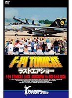 F-14 トムキャット・ラストエアショー