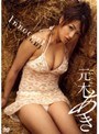  Innocent 元木あきでDMMアフィリエイトツール