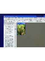 3-7 ペイントショッププロ X 画像を自由にサイズ変更