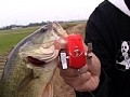 人生を100倍楽しくさせる、一生退屈させない究極の趣味 荒井謙太ズポ（っといれて）ネチ（ネチと）ストライクス・バック！ サンプル画像 No.6