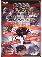 第三弾 世界最強虫王決定戦 肉食昆虫界のラストエンペラー オオエンマハンミョウ見参！