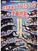 世界最強虫王決定戦 世界最強カブトvsクワガタ全面対決！
