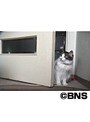 Cat Healing �ͤ������Ȥ��ä��� ���ͤ� ��������