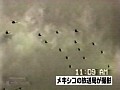 #1 矢追純一アワー サンプル画像 No.5