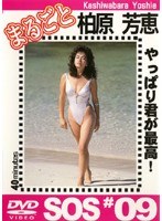 まるごと 柏原芳恵