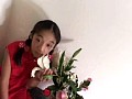 2 �������ص� ���ɥ��륹�ơ������ ������5ǯ�� ���Ĥ����� ����ץ���� No.4