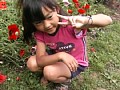 Vol.2 Vanilla Girl/�ߤ줤�����Τ� ����ץ���� No.6