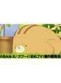 第21話〜第22話 クプ〜！！まめゴマ！