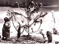 森の住民のクリスマス サンプル画像 No.5