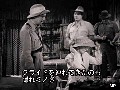 �̱��Խü� ����ץ���� No.6