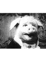  20世紀初頭の珍品映画＆ドキュメンタリーでDMMアフィリエイトツール